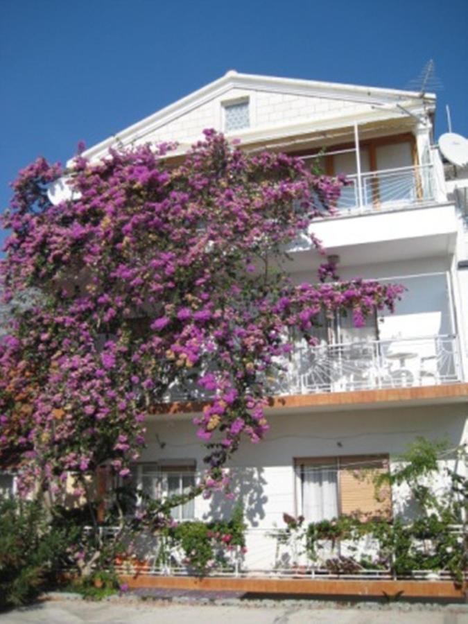 Apartman Graciela Perfect Location Gradac Gradac  Extérieur photo