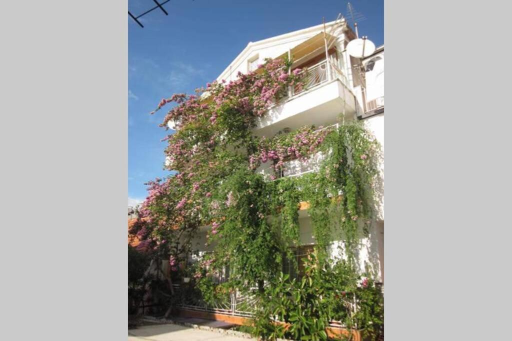 Apartman Graciela Perfect Location Gradac Gradac  Extérieur photo