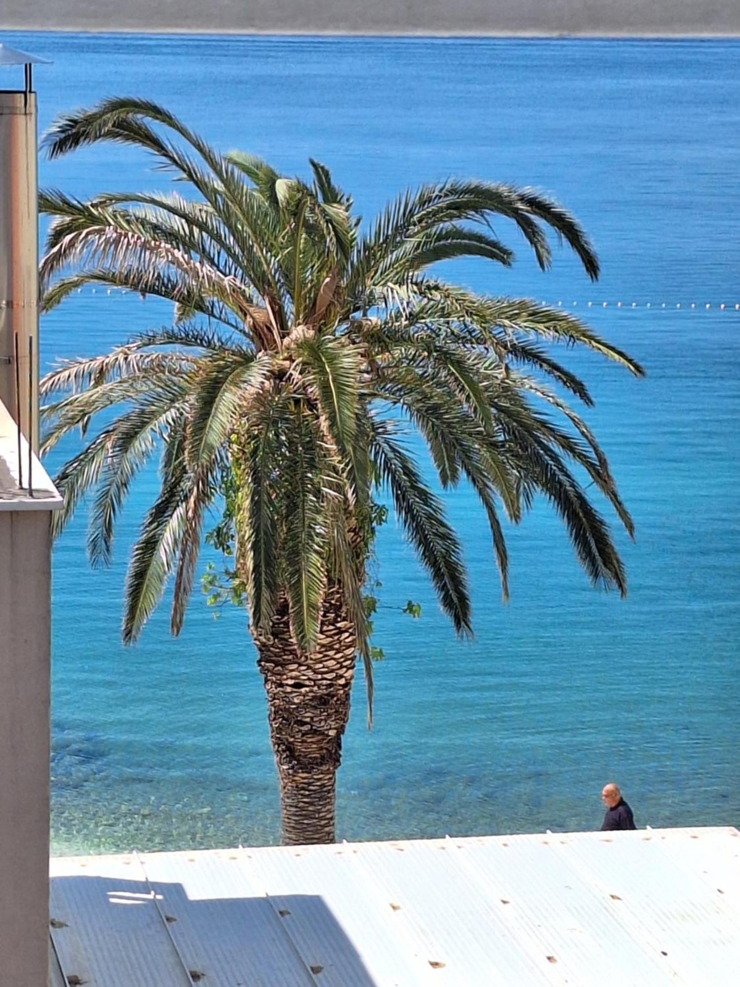 Apartman Graciela Perfect Location Gradac Gradac  Extérieur photo